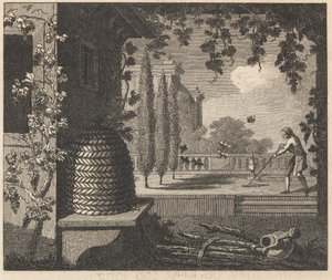 Degenerované včely od William Skelton