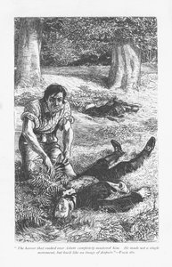 Adam Bede, který v boji překonal Arthura Donnithorna, je zděšen, když vidí svého rivala ležet v bezvědomí. Adam Bede od George Eliota, poprvé publikováno 1859. Ilustrace William Small (1843-1929) z vydání vydaného kolem roku 1885. od William Small