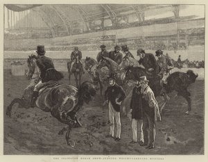 Islington Horse Show, posuzující lovce nesoucí váhu
