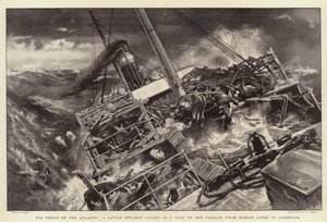 The Perils of the Atlantic, dobytčí parník zachycený vichřicí na její cestě z Buenos Ayres do Liverpoolu