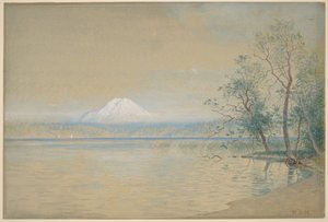  od William Stanley Haseltine