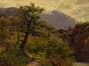 Schwyz u Brunnenu od William Stanley Haseltine