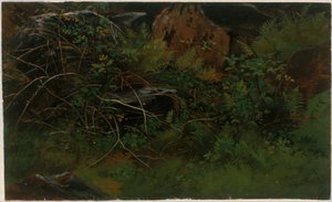 Studie podle přírody od William Stanley Haseltine