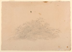 Studium listí od William Stanley Haseltine