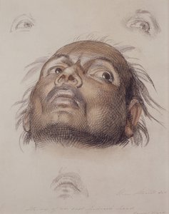 Studie hlavy východního Indiána, kolem roku 1875 (pastel a pero na papíře) od William Strutt