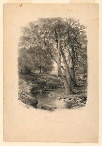 Kresba, Bazén v lese, 1874 od William Trost Richards