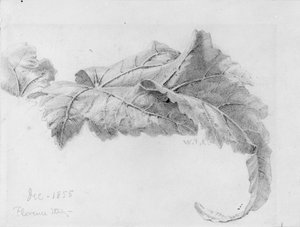 Listy od William Trost Richards