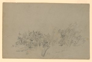 Studium listí od William Trost Richards
