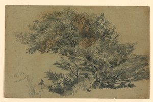 Studium listí od William Trost Richards