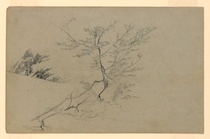 Studium listí od William Trost Richards
