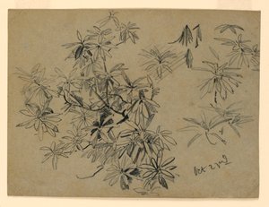 Studium listí od William Trost Richards