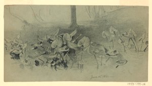 Studium listí od William Trost Richards