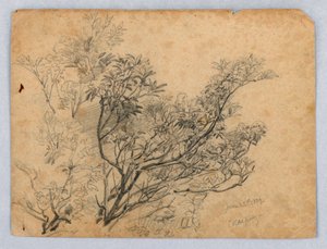 Studium listí od William Trost Richards