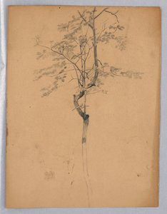 Studium listí od William Trost Richards