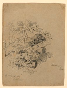 Studium listí od William Trost Richards
