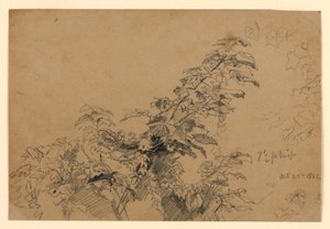 Studium listí od William Trost Richards