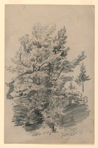 Studium listí od William Trost Richards