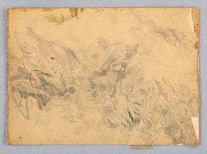 Studium listí od William Trost Richards