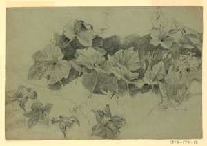 Studium listí od William Trost Richards
