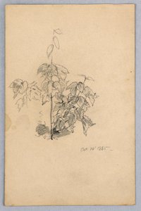 Studium listí od William Trost Richards
