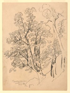 Studium listí, Trachselwald, Bern, Švýcarsko od William Trost Richards