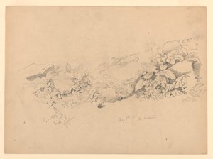 Studium listí, Trachselwald, Bern, Švýcarsko od William Trost Richards