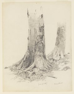 Kmeny stromů, Darmstadt od William Trost Richards
