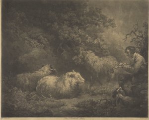 The Shepherd Boy