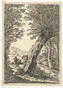 Vrba