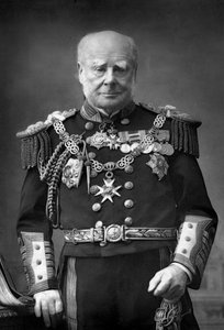 Admirál flotily Sir Henry Keppel 1809-1904, 1893. od William and Daniel Downey
