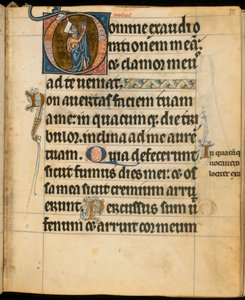 Přidat. 49999, f.75 Iniciála 