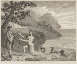 Courtier a Proteus