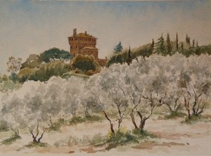 883 Pal Massaini, nr Pienza od Wilson Clive