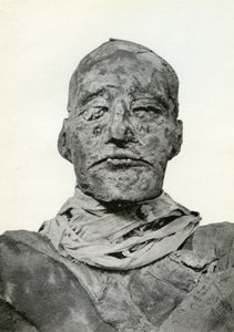Hlava mumie Ramesese III., staroegyptského faraona 20. dynastie, c1156 př.nl 1926