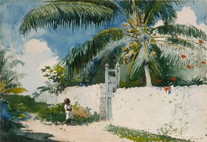 Zahrada v Nassau od Winslow Homer