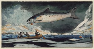 Krásný bazén, řeka Saguenay od Winslow Homer