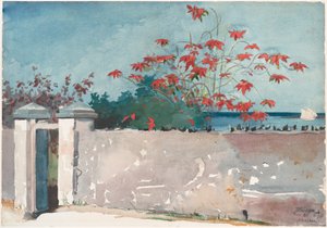 Zeď, Nassau od Winslow Homer
