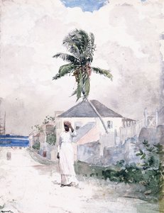 Podél cesty, Bahamy, 1885 od Winslow Homer