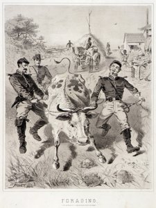 Náčrty kampaně: Foraging od Winslow Homer