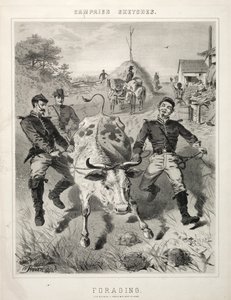 Náčrtky kampaně: Potrava, 1863. od Winslow Homer
