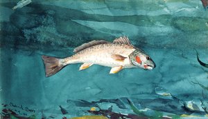 Basy kanálu od Winslow Homer