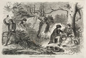 Vánoce – Stálezelené rostliny na oslavu Vánoc od Winslow Homer