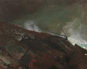 Pobřeží Maine od Winslow Homer
