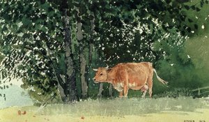 Kráva na pastvě, 1878 od Winslow Homer