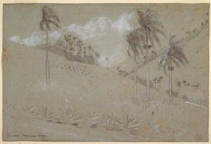 Kresba, Kubánské úbočí, 1885 od Winslow Homer