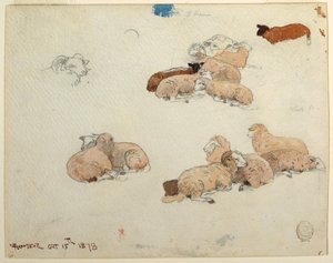 Kresba, Odpočívající ovce, 15. října 1878 od Winslow Homer