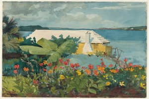 Květinová zahrada a bungalov, Bermudy od Winslow Homer