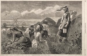Sběr bobulí, 1874. od Winslow Homer