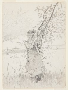 Dívka držící větev jabloně od Winslow Homer