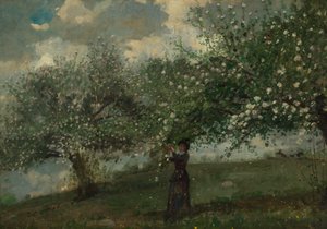 Dívka Sbírá Jabloňové Květy od Winslow Homer
